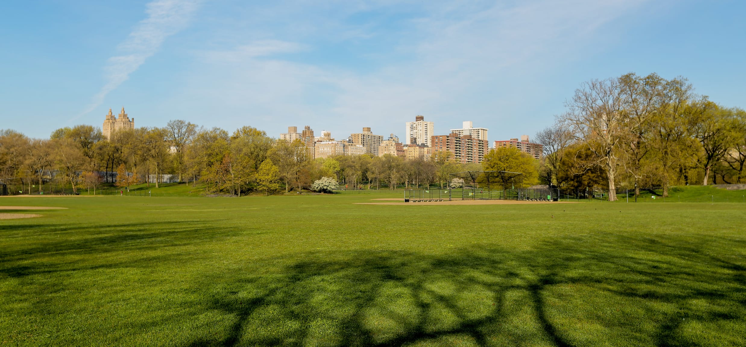 Wide shot of the green landscape and rec areas of the North Meadow