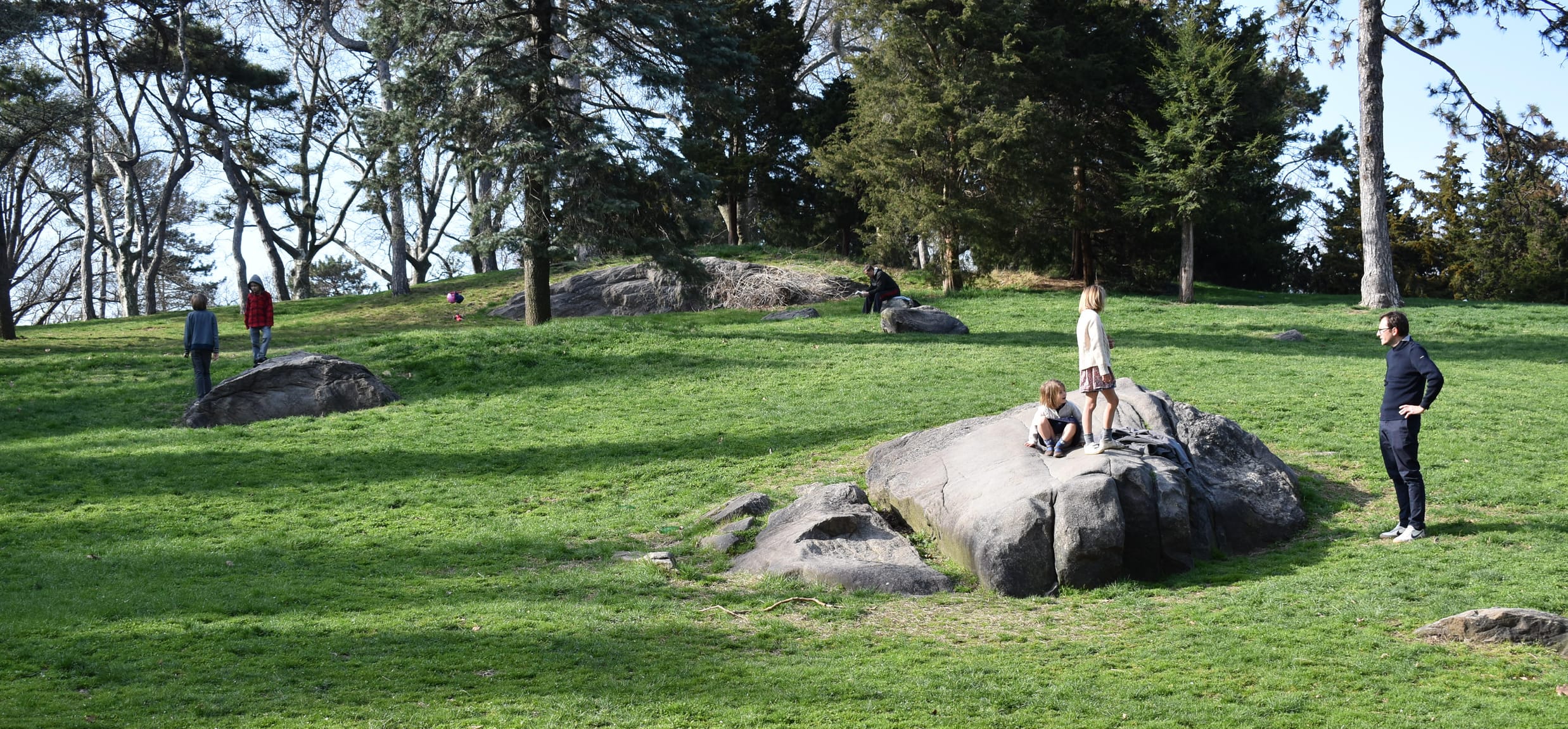 Families and children enjoy a sunny day on the grassy slopes and large rock formations of Cedar Hill in Central Park, NYC, surrounded by trees and open green space.