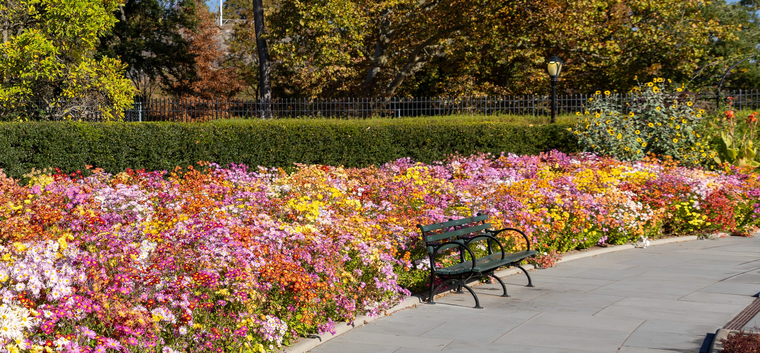 A bench surrounded by flowers in the Conservatory Garden, Central Park, New York City
