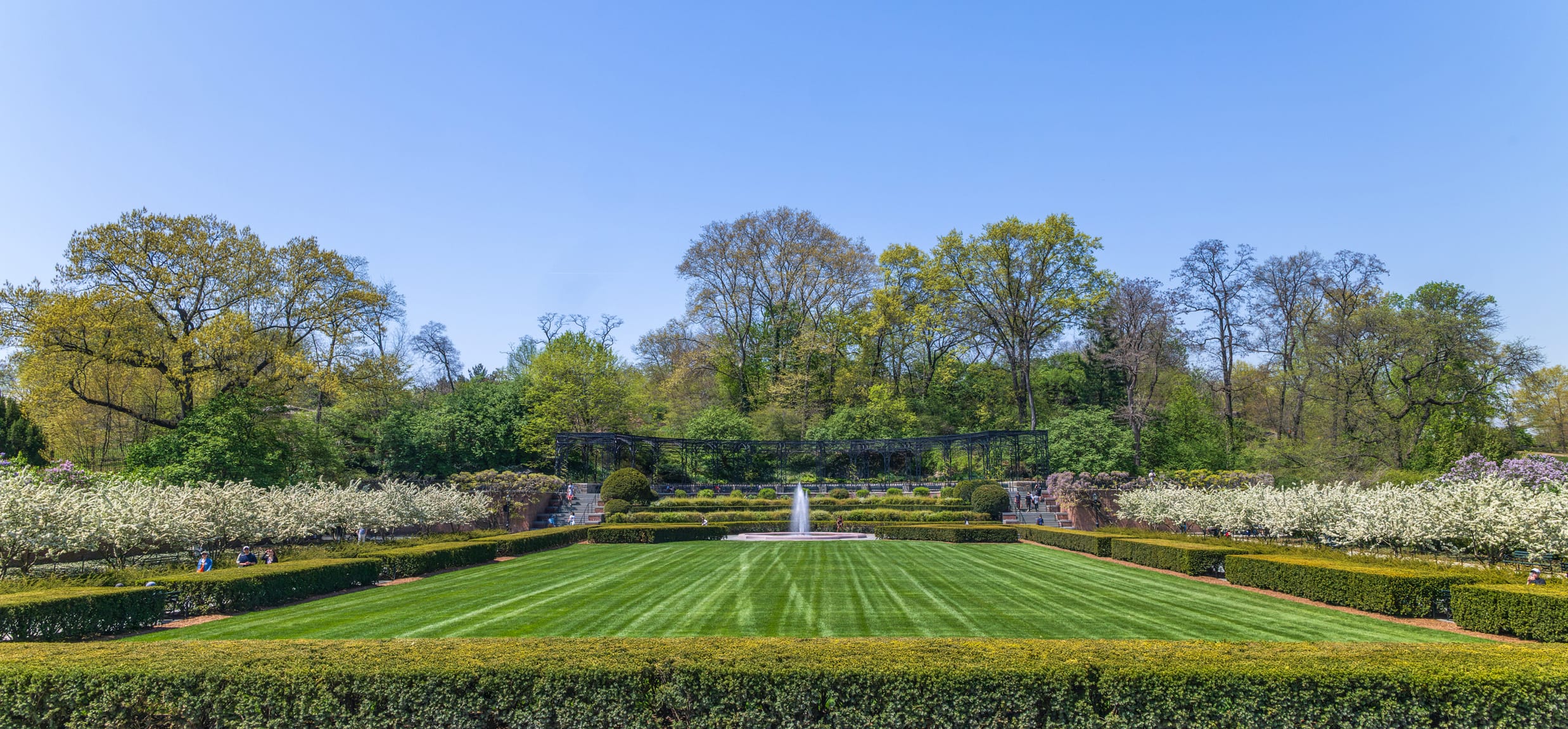 A wide shot of the green lawn and fountain at the Conservatory Garden