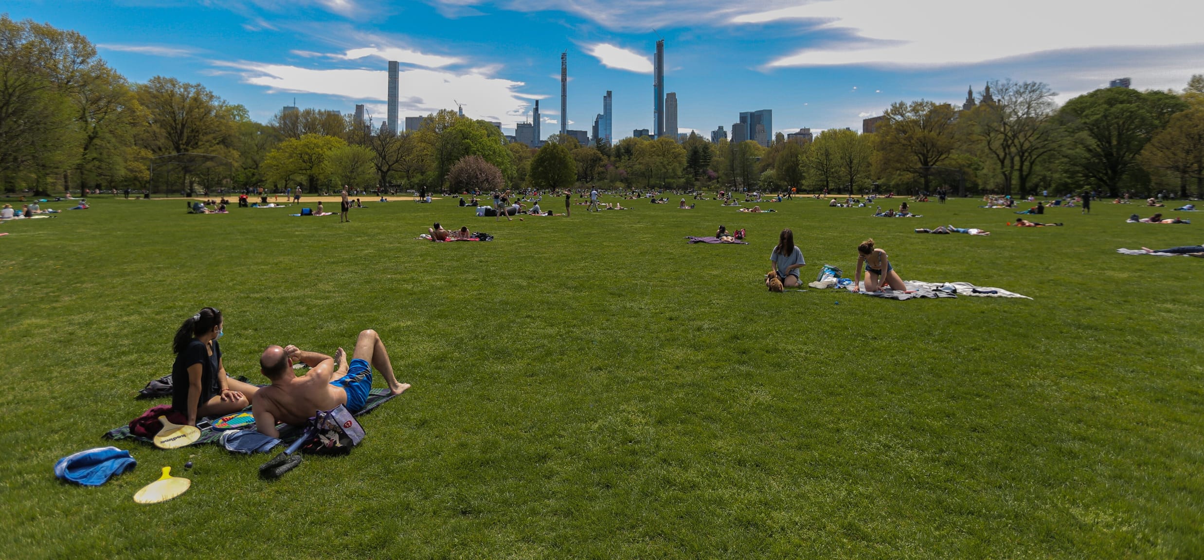 A sweeping view of the great lawn in early autumn, with the skyline of 57th Street in the background