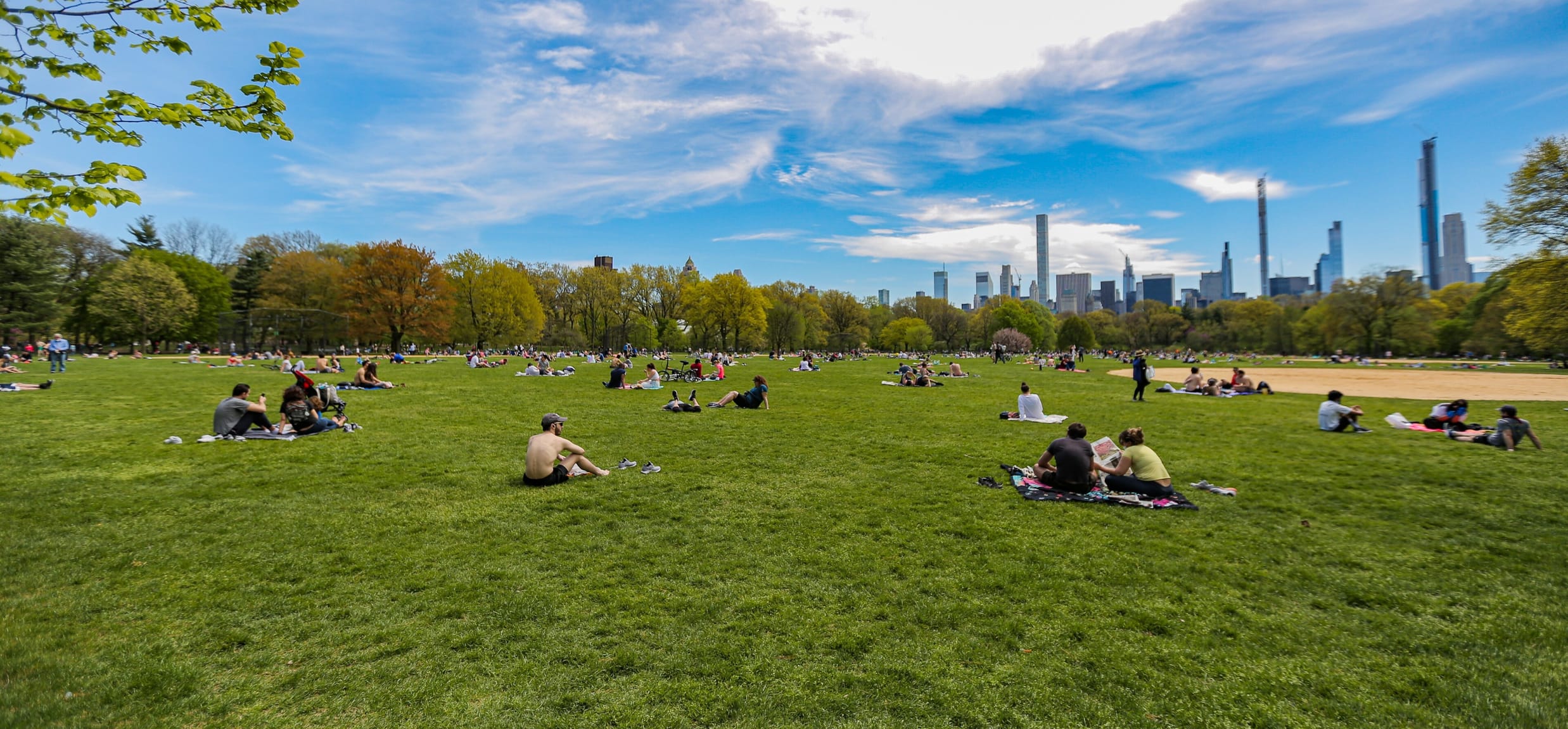 Socially-distanced parkgoers enjoying a summer day on the lawn
