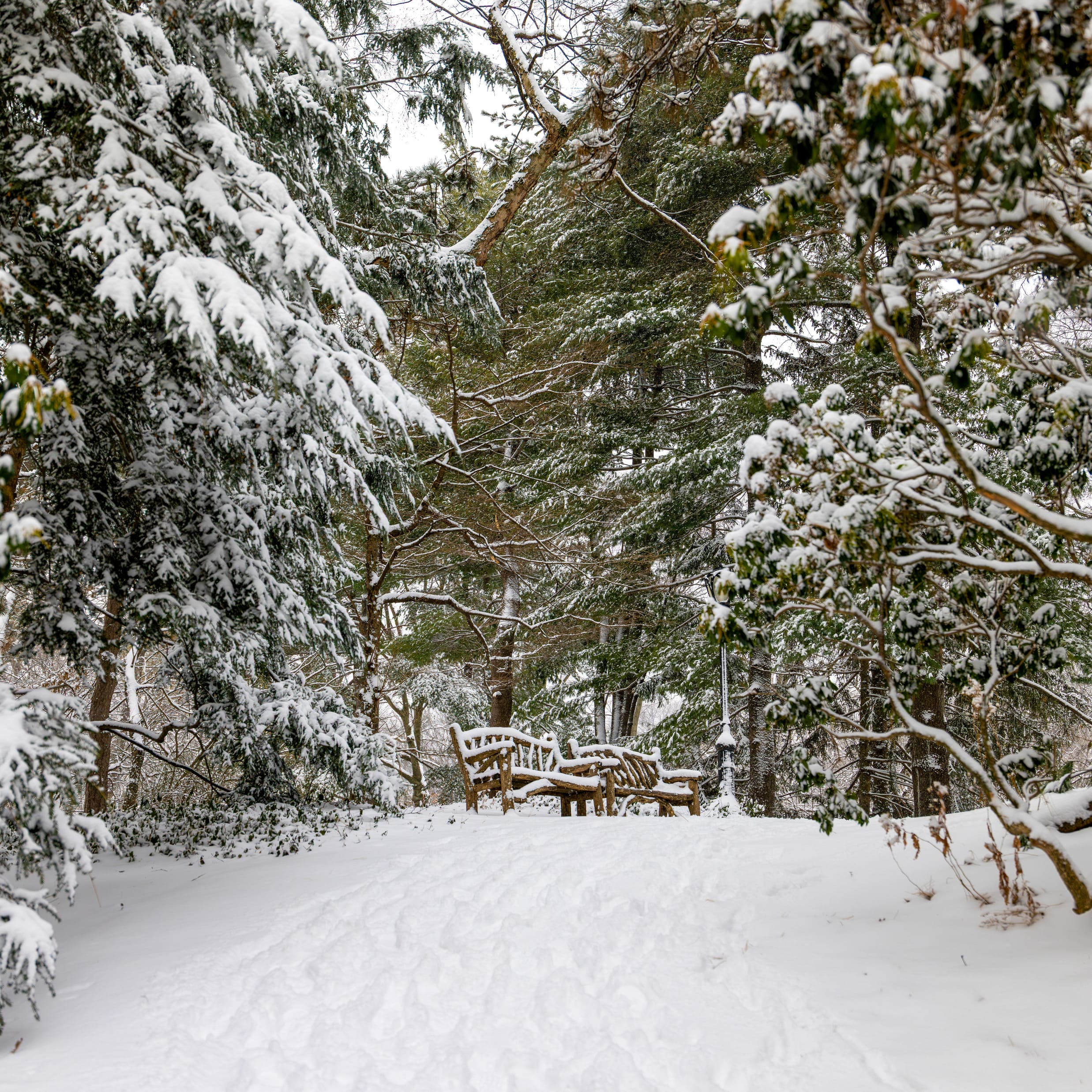 Rustic benches covered in snow