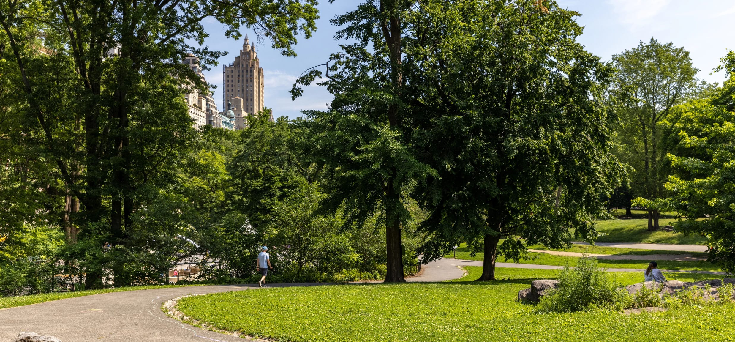 A photo of a winding path through a park, surrounded by green grass and tall trees.