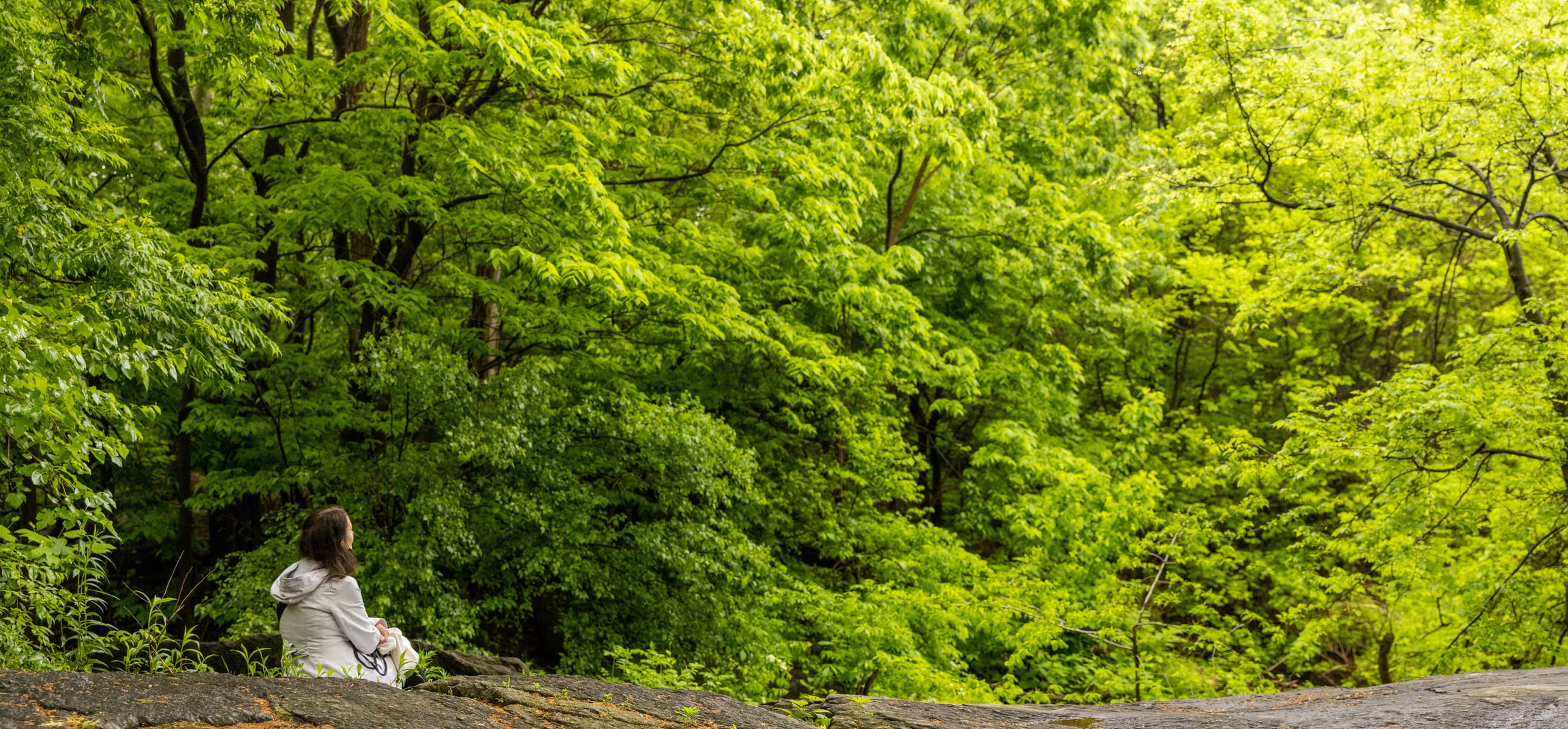 A person sits on a rock in Central Park, NYC